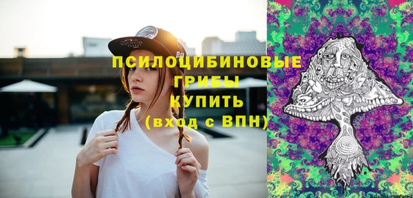 2c-b Медногорск