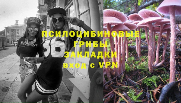ALPHA PVP Майский