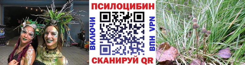 Купить где  Тайга  Псилоцибиновые грибы мицелий 
